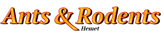 Hemet Ant Exterminator & Rodent Control Company Logo